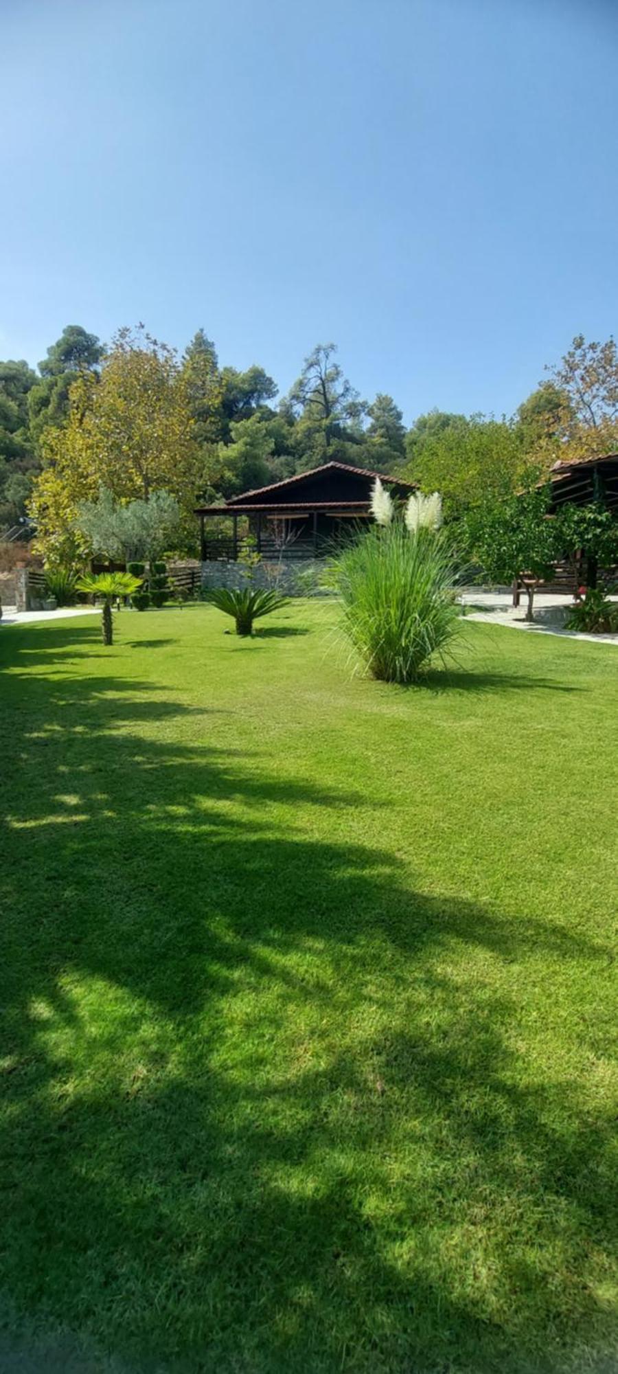 Dimitris' Villas - Villa 3 Ormos Panagias Exterior foto